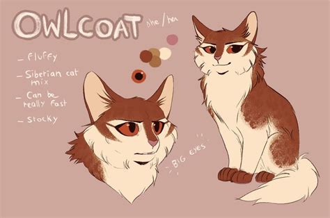 Owlcoat Reference By Owlcoat On Deviantart Warrior Cat Drawings