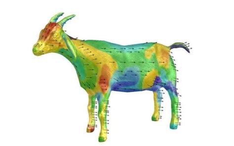 The Aerodynamics Of A Cow All About Cow Photos