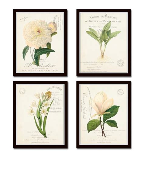 French Botanical Collage Print Set No 3 Botanical Print Etsy
