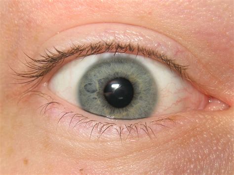 My Gray Eye Excellent Sam Lehman Flickr