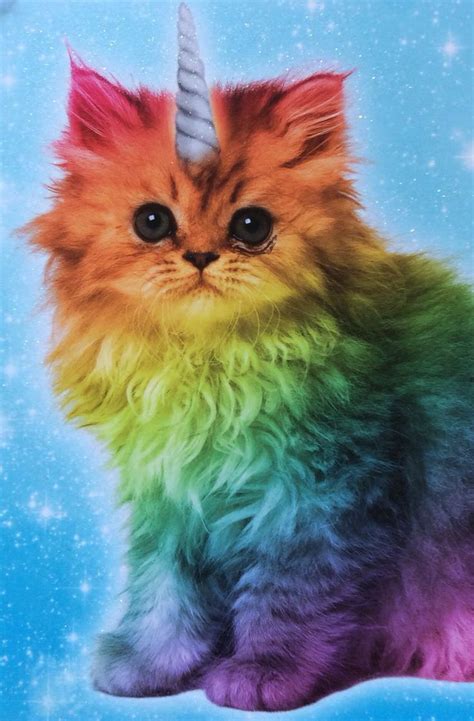 Magical Unicorn Rainbow Kitten Rainbow Kittens Unicorn Cat Rainbow Cat