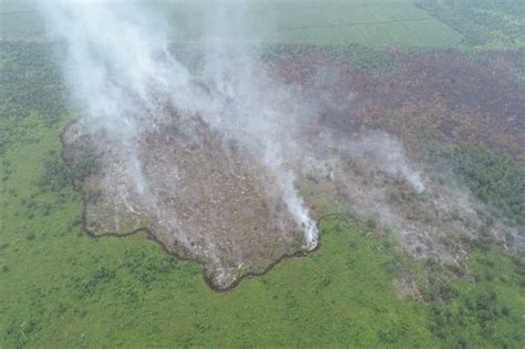 Tersangka Pembakar Hutan Bandara Batam Berhasil Ditangkap Hukum
