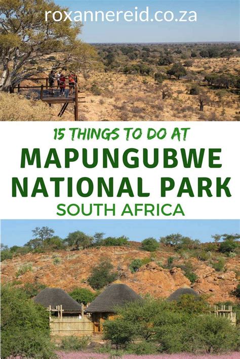 15 Things To Do At Mapungubwe National Park South Africa Travel