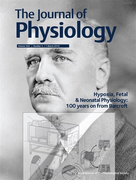 The Journal Of Physiology Vol 594 No 5
