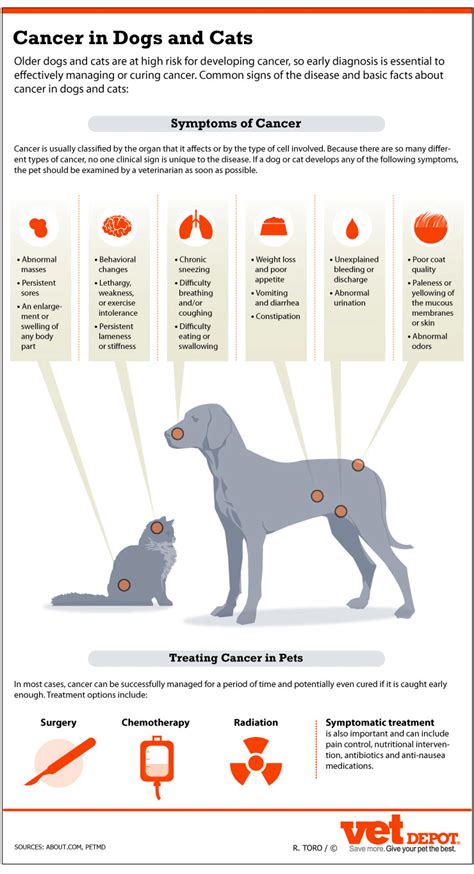 Are Tumors Common In Dogs