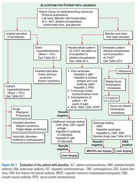 Algorithm For The Evaluation Of Patients With Jaundice Jaundice Grepmed