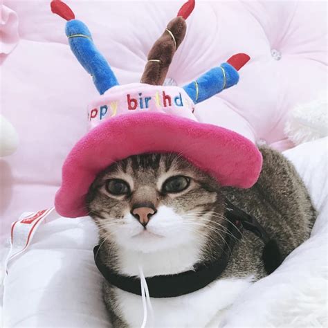 Happy Birthday Pet Cat Hat Cap For Cat Christmas Festival Pets