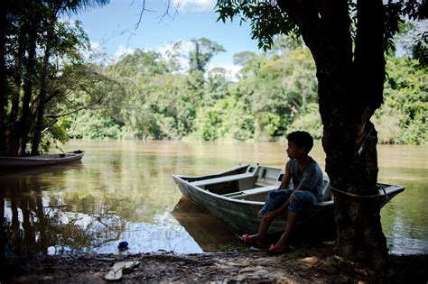Unidades De Conservação Melhoram Condições De Ribeirinhos Na Amazônia