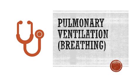 Pulmonary Ventilation Breathing YouTube