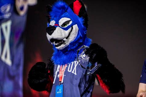 Sonicfox The Gay Furry Esports Player Of 2018 Lets His Swagger