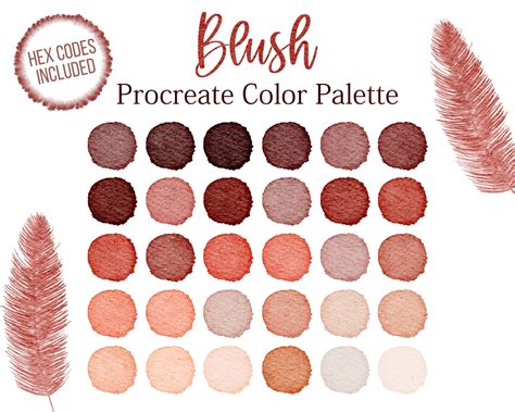 Blush Color Palette Skin Colour Colors Procreate Make Up Etsy