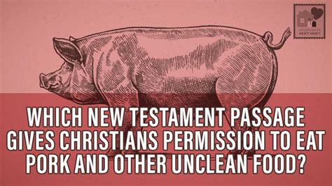 Just as eating pork was to antiochus or my neighbor's concerns were to me. What New Testament passage gives Christians permission to ...