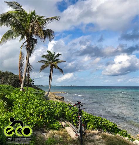 You Can See And Experience So Much More On A Bike Ride Explore East End Cayman Islands With