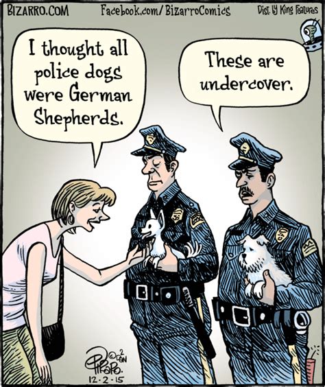 Bizarro Cops Humor Police Humor Bizarro Comic