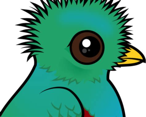 Quetzal Clipart New Mexico Resplendent Bird Png Download Full