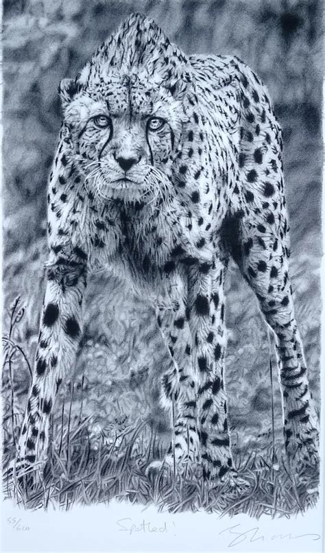 Cheetah Pencil Drawing Limited Edition Print Spotted Etsy