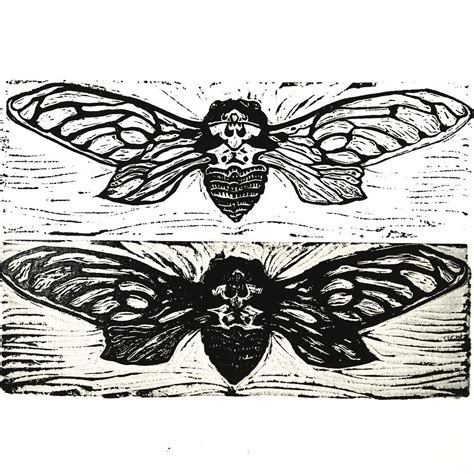 Katie Dinh On Instagram Finally Printed Him My Cicada Son Cicada Linocut Linoprint