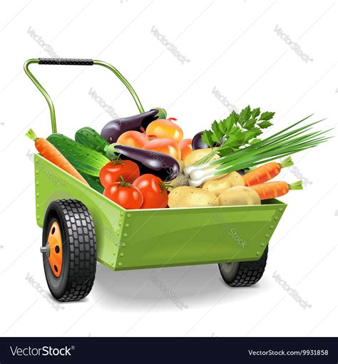 Wheelbarrow With Vegetables Royalty Free Vector Image