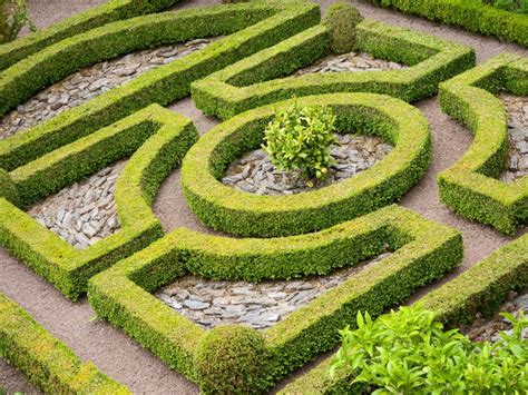 What Is A Parterre Garden Tips On Creating Parterre Knot Gardens