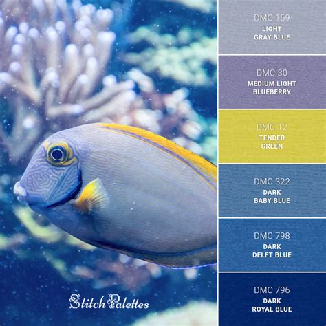 Best Fish Color Palette Images Color Palette Color Color Pallets My