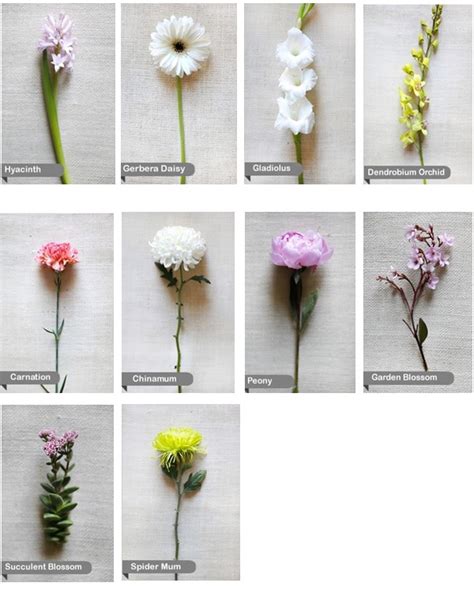 In this guide, we at bloom2u.com want to show you how to choose the right type of flowers for your wedding proposal so that it can go smoothly with your girlfriend saying yes, i do! The Bible Wedding Bouquet — Savvy Event Studio | Best ...