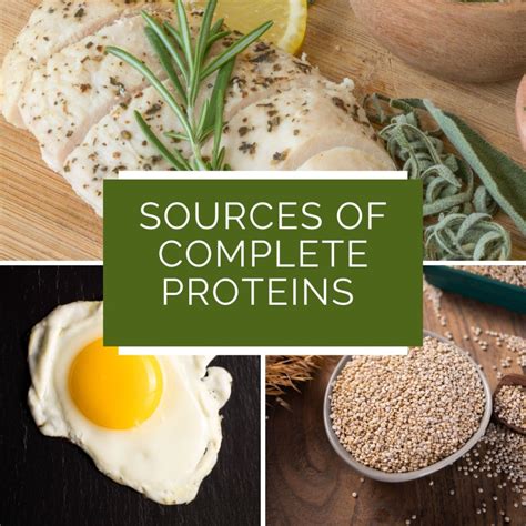 What Is A Complete Protein Banister Nutrition Llc Okc Dietitian
