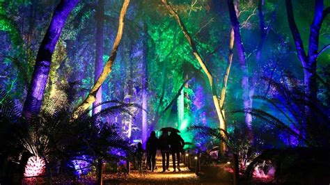 Enchanted Forest Of Light Descanso Gardens 2019 Youtube