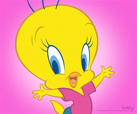 Tweety Cute Cartoon Pictures Bird Pictures Cartoon Images Day And