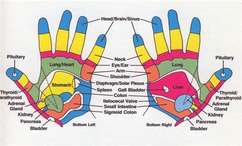 Pressure Point Therapy Chart