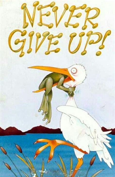 Here you can explore hq never give up transparent illustrations, icons and clipart with filter setting like size, type, color etc. Pin by Marisela Delgado on DAILY'S | Funny frogs, Never ...