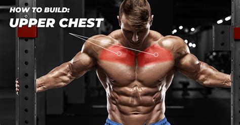 The Ultimate Upper Chest Exercise Untapped Supplement