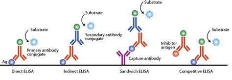 It comes under antigen and antibody reaction test and useful for identification of antigen or antibody of following specimens serum, urine, csf, sputum, semen, supernatant of culture, stool etc. A new indirect ELISA to identify antibodies against ...