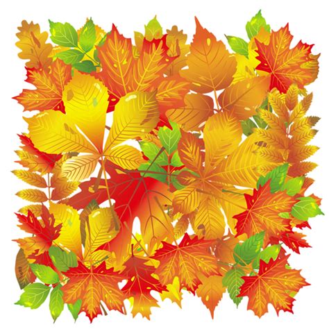 Transparent Fall Leaves Gallery Yopriceville High Quality Free