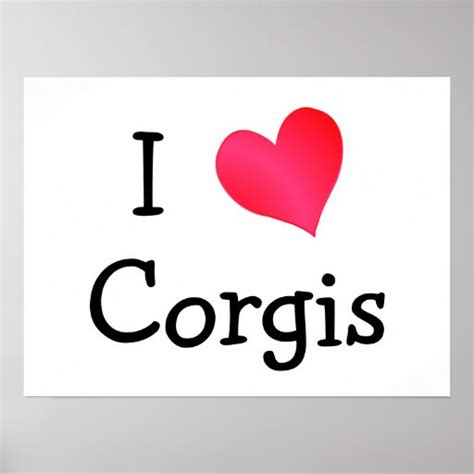 I Love Corgis Poster Zazzle