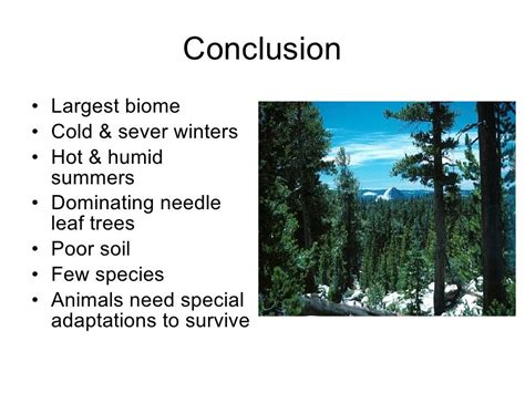 Ib Geography Ecosystems Biomes Taiga Aka Coniferous Forest