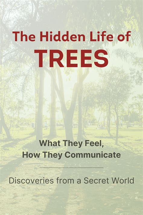 The Hidden Life Of Trees Peter Wohlleben Book Summary