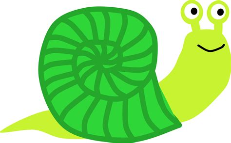 Insect Clipart Snail Insect Snail Transparent Free For Download On