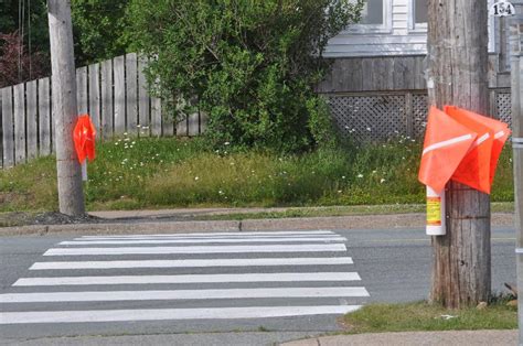 Crosswalk Safety