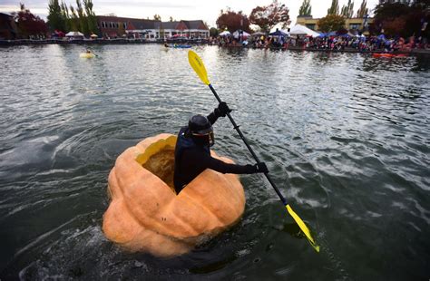 People Paddle Pumpkins In West Coast Giant Pumpkin Regatta 3 People