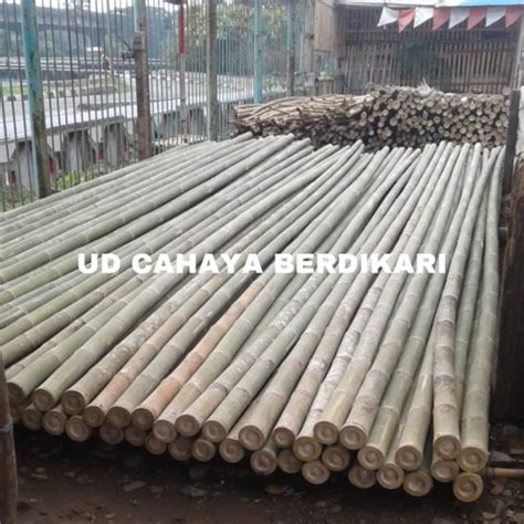 Jual Bambu Steger Murah 9 Cm Untuk Proyek Bangunan Free Ongkir