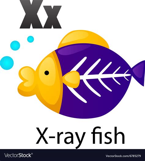 Alphabet X With X Ray Fish Royalty Free Vector Image