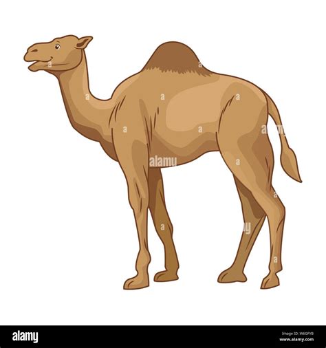 Camel Desert Animal Cartoon Sideview Stock Vector Image And Art Alamy