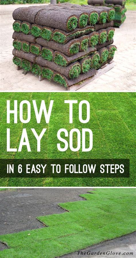 How To Lay Sod In 6 Easy To Follow Steps How To Lay Sod Garden Care