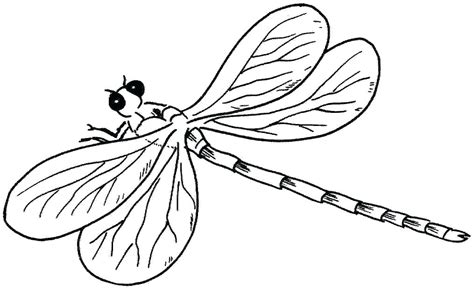 These digital coloring pages for. Free Dragonfly Coloring Pages at GetColorings.com | Free printable colorings pages to print and ...