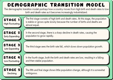 Demographic Transition Pre Industrial