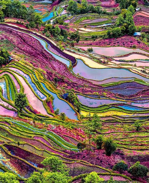 Somewhere Over The Rainbow — Awendala Yuanyang Rice Terraces Yunnan