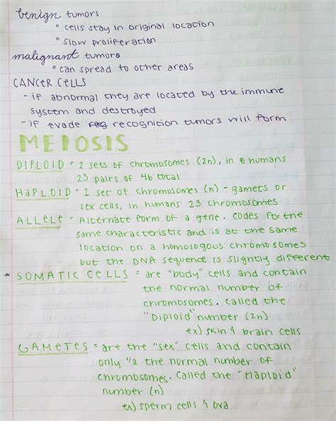 Meiosis Diary Of An Alevel Student