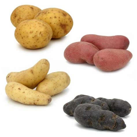Kartoffeln pflanzen kartoffeln erfolgreich im eigenen garten anbauen. Eigene Kartoffeln bereichern den Garten