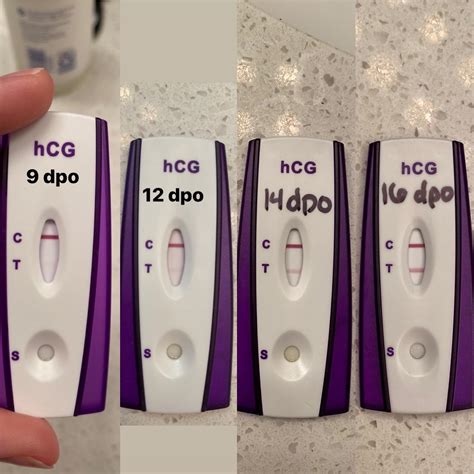dpo 20 bonus 20