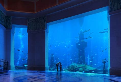 Atlantis The Palm Dubai 5 Star Dubai Stunner With The